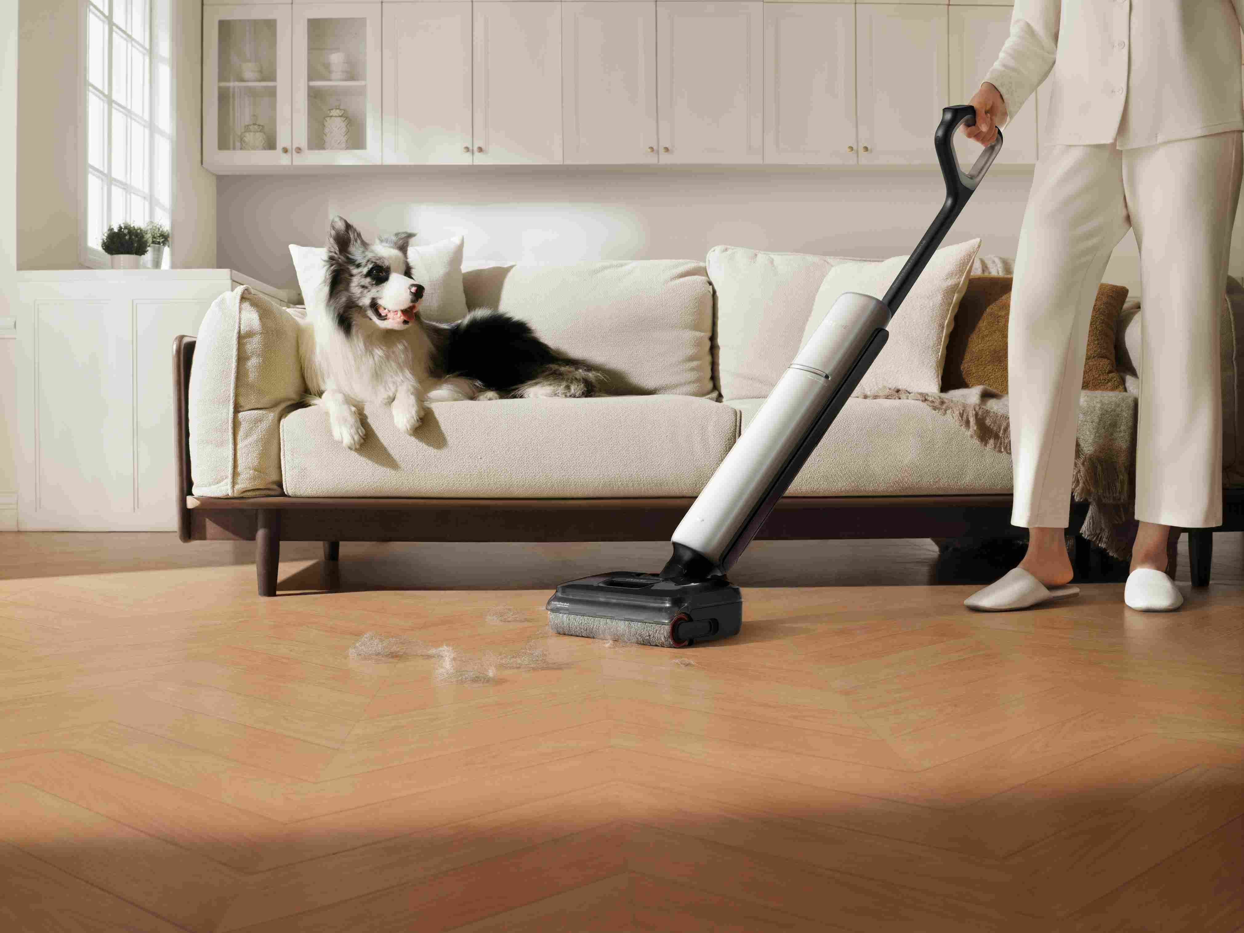 Home cleaning with cordless vacuum for pet-friendly households
