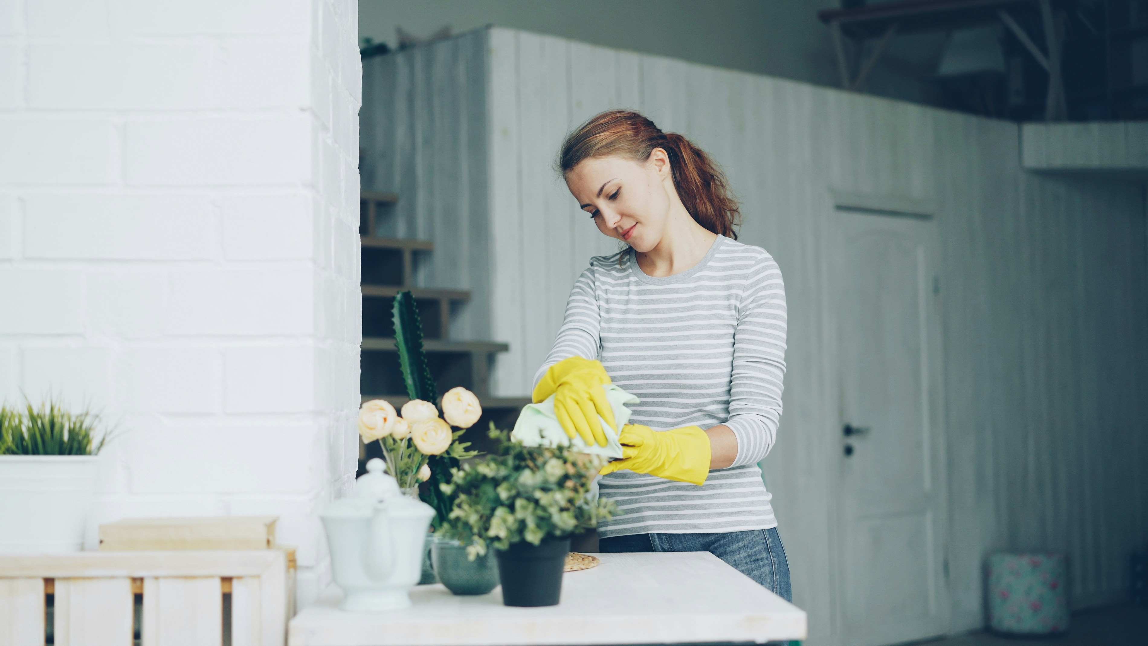 Residential cleaning — caring for plants and surfaces at home